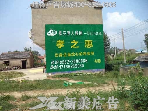 蚌埠孝之惠养老产业发展投资有限公司墙体广告